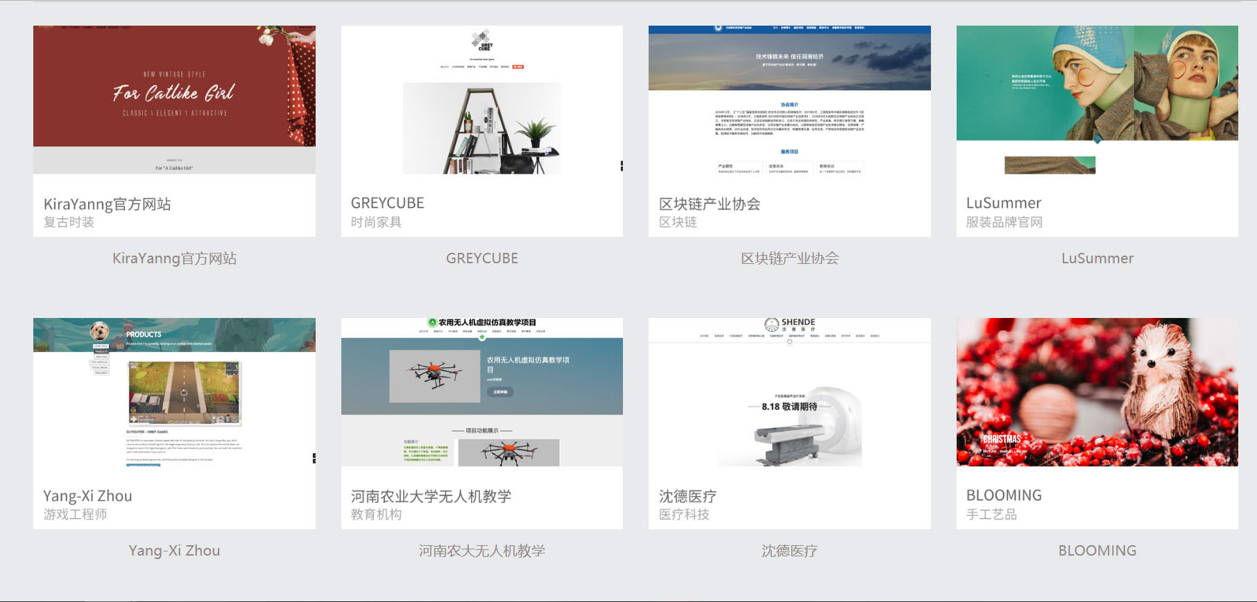商务网站建设 商务网站建设